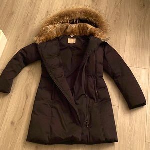 Just in time for the Holidays!